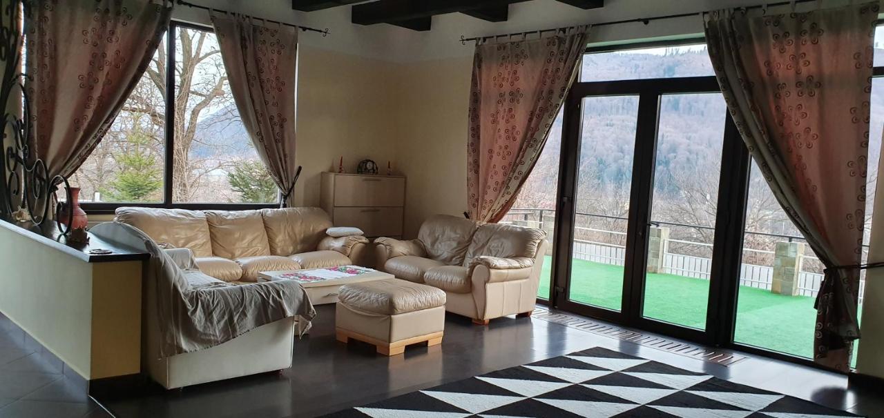 Villa Casa Yla Piatra Neamţ Exterior foto