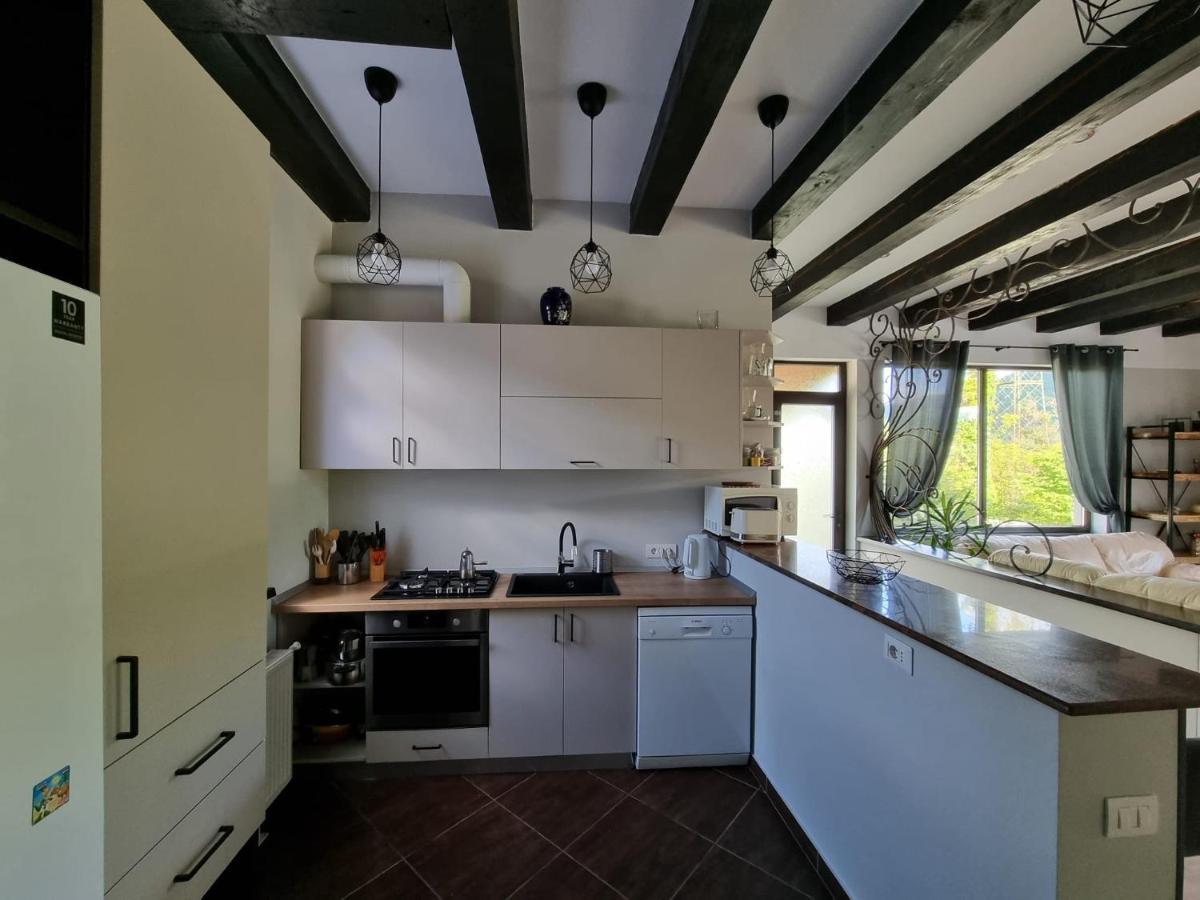 Villa Casa Yla Piatra Neamţ Exterior foto